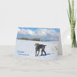 Vinter Weimarland Helgkort