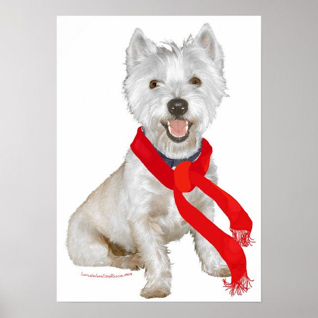 Vinter Westie i en röd halsduk Poster (Framsidan)