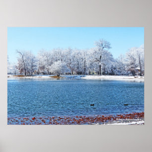 "VINTER WHITE" OLANDER PARK OCH SJÖ/SNÖ SOM OMFATT POSTER
