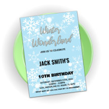 Vinter Wonderland Birthday Bjud i Silver