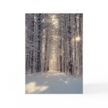 Vinter Wonderland Blank Greeting Card