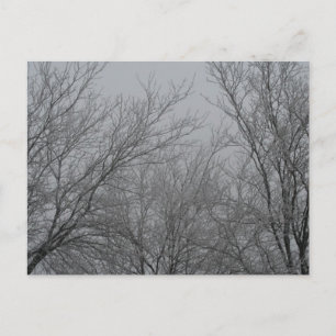 Vinter Wonderland Postkort Vykort