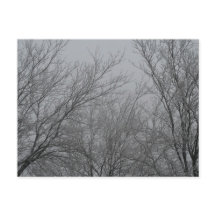 Vinter Wonderland Postkort