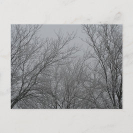 Vinter Wonderland Postkort Vykort