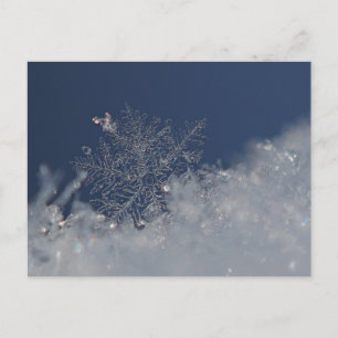Vinter Wonderland Postkort Vykort