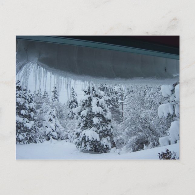 Vinter Wonderland Postkort Vykort (Framsida)