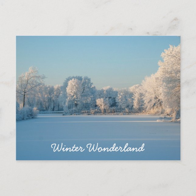 Vinter Wonderland Snö Ligcape Photo Postcard Vykort (Framsida)