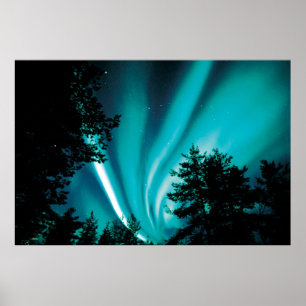 VINTERAURORA (det KVALITETS- TRYCKET) 46X31 Poster