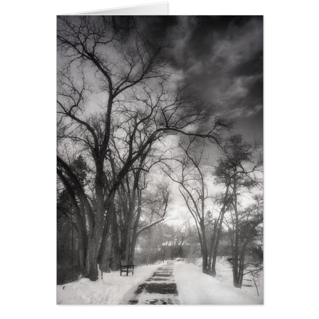 Vinterbanor Hälsningskort (Framsidan)