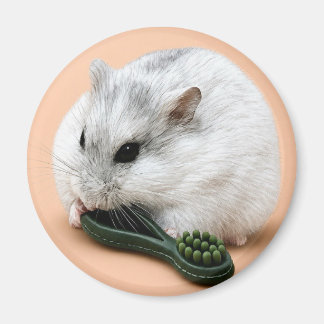 Vinterbär hamstern tuggar på en tuggleksak  magnet