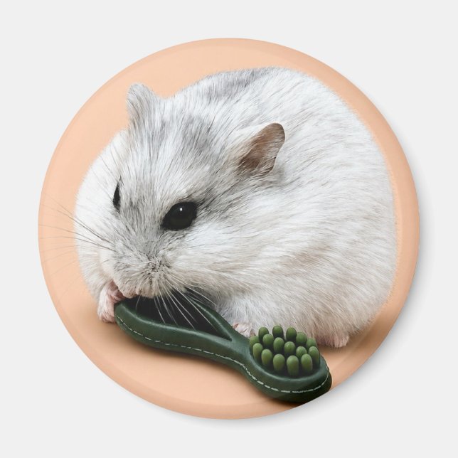 Vinterbär hamstern tuggar på en tuggleksak  magnet (Framsidan)