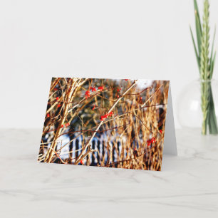 Vinterbär Notecards Kort