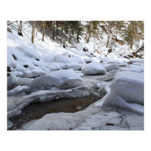 Vinterbergsflod – Wild Nature Rumänien