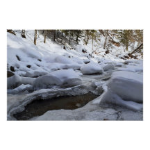 Vinterbergsflod – Wild Nature Rumänien