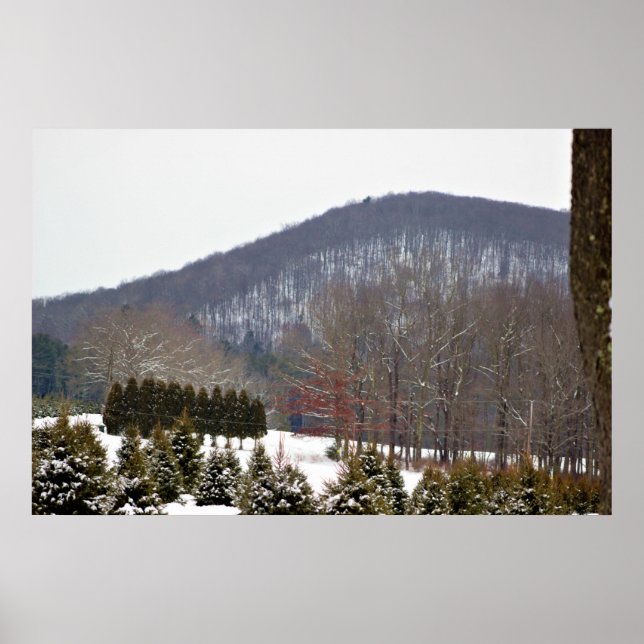 Vinterbergsvy Poster (Framsidan)