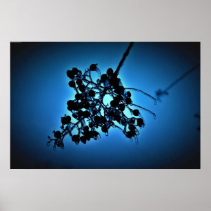 Vinterblått. Poster