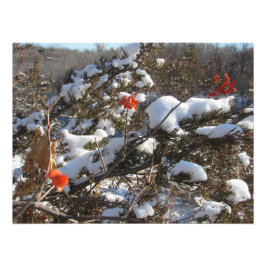 "VinterBlommar" Fototryck