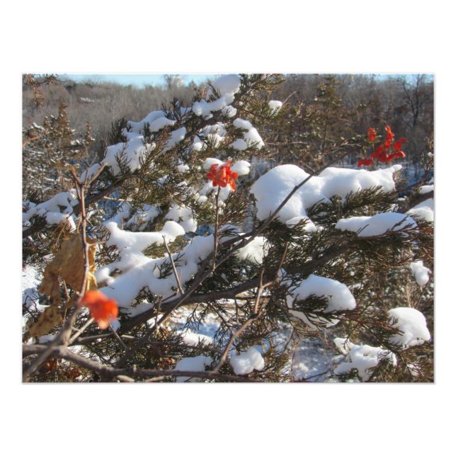 "VinterBlommar" Fototryck (Framsidan)