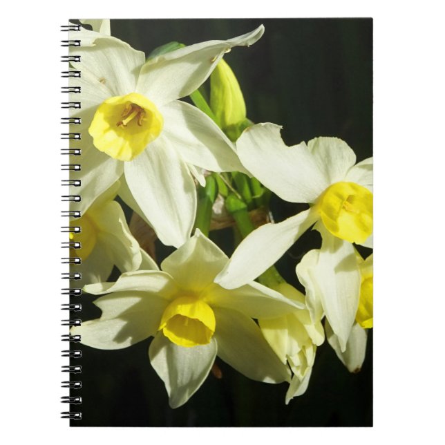 Vinterblommor Anteckningsbok (Framsidan)