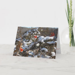 "Vinterblommor" Julkort Kort