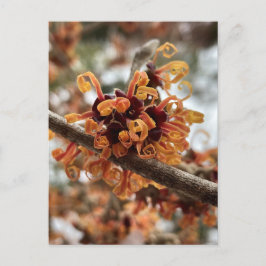 Vinterbrandvykort för Helgdag Vykort