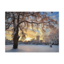 Vinterbygd i Lettland