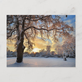 Vinterbygd i Lettland Vykort