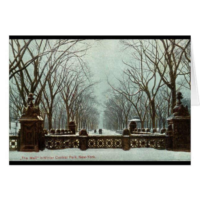 VinterCentral Park NY vintage c1910 Hälsningskort (Framsidan Horizontal)