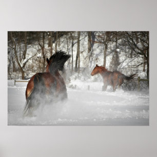 Vinterchase Horse Poster