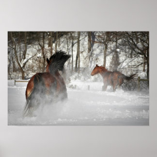 Vinterchase Horse Poster