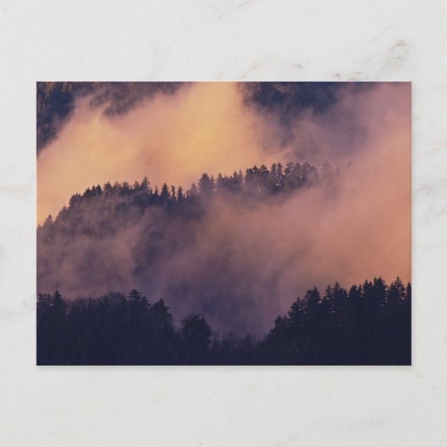 Vinterdimi Valley vid solnedgången från Morton Vykort (Framsida)