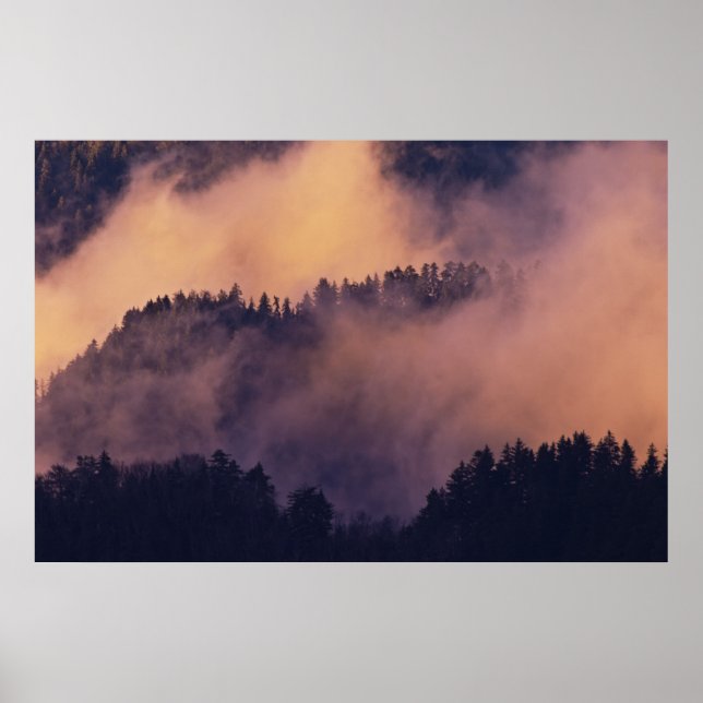Vinterdimma i dal vid solnedgång från Morton Poster (Framsidan)