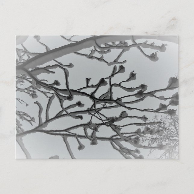 Vinterdröm vykort (Framsida)