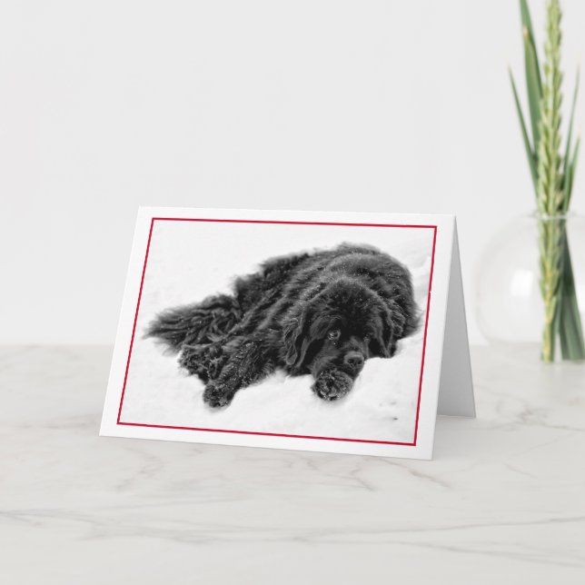 Vinterdrömmar Helgkort (Framsida)