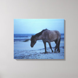 Vinterekvin-solidaritet Canvastryck