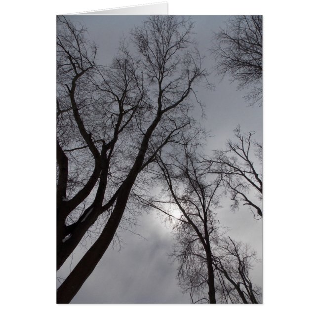 Vinterensamhet Hälsningskort (Framsidan)