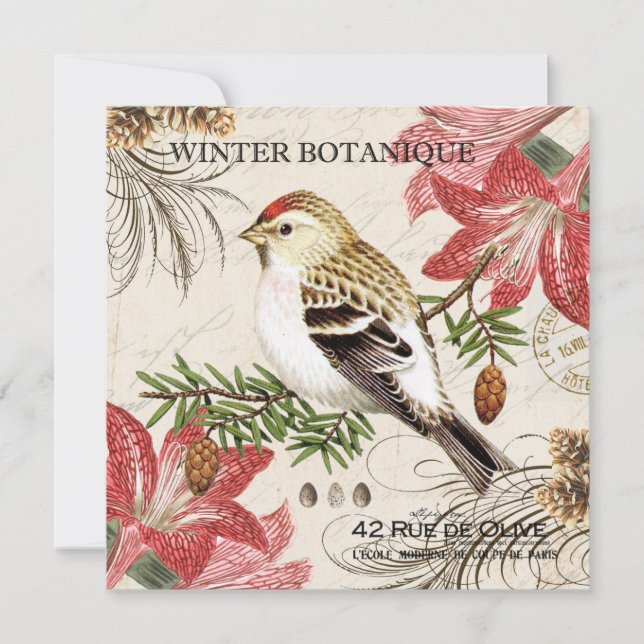 Vinterfågel i modern vintage fransk (Framsida)