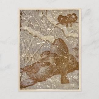 Vinterfåglar Vykort