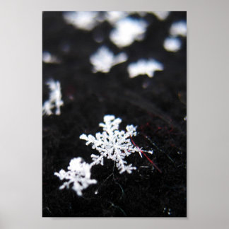 Vinterform Poster