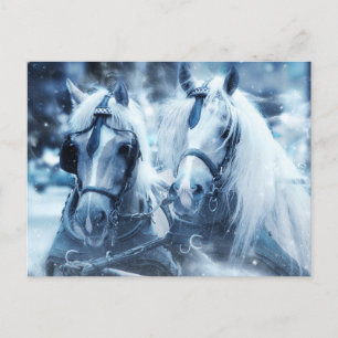 Vinterfoto för vackert Horse Team Vykort
