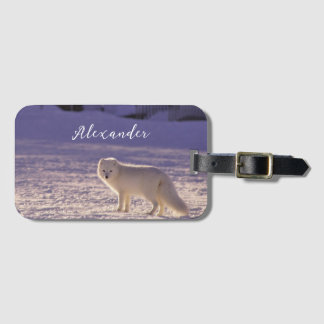 Vinterfotografi för Cute White Arktis Fox Snö Bagagebricka