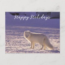 Vinterfotografi för Cute White Arktis Fox Snö Helg Vykort