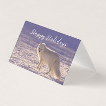 Vinterfotografi för Cute White Arktis Fox Snö