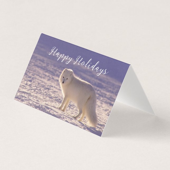 Vinterfotografi för Cute White Arktis Fox Snö Kort (Framsida)