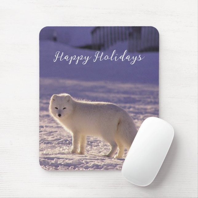 Vinterfotografi för Cute White Arktis Fox Snö Musmatta (Med mus)