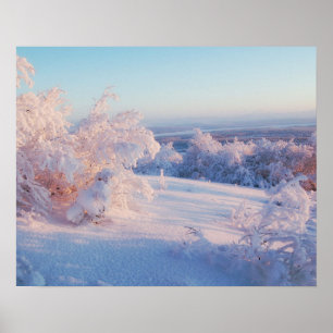 Vinterfotometer i liggande Snö Poster