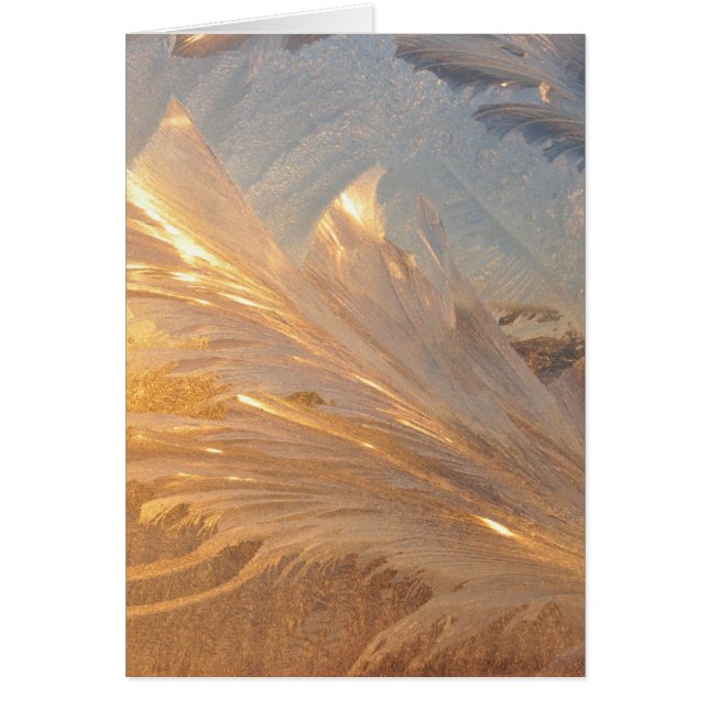 Vinterfrost på glas hälsningskort (Framsidan)