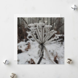 Vinterfrost på växter i skogen julkort