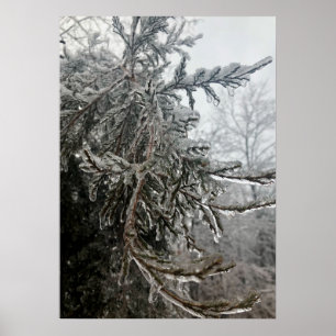 Vinterfrost Poster