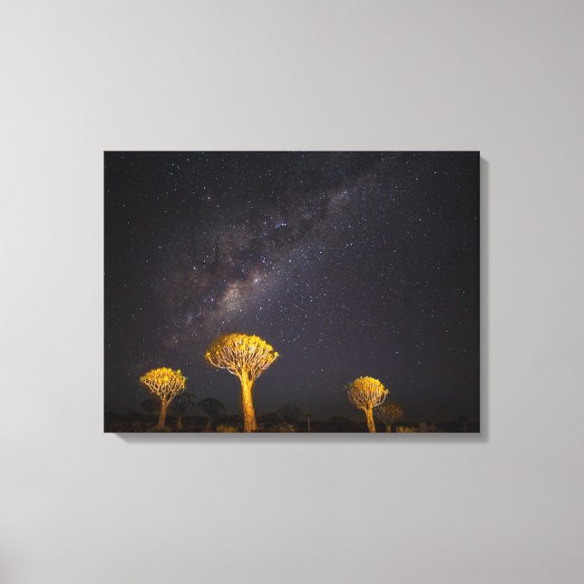 Vintergatan Quiver Tree | Keetmanshoop Namibia Canvastryck (Framsida)